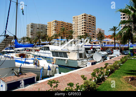 View of boats and yachts in the marina with buildings to the rear, Estepona, Malaga Province, Andalusia, Spain, Western Europe. Stock Photo