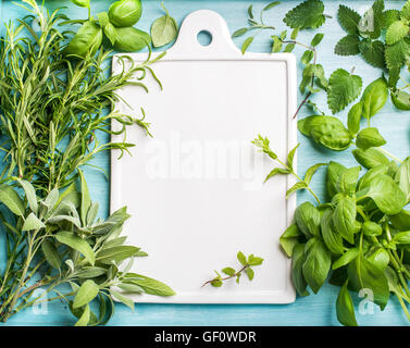 Fresh green cooking herbal assortment. Sage, basil, rosemary, melissa and mint on blue background with copy space Stock Photo