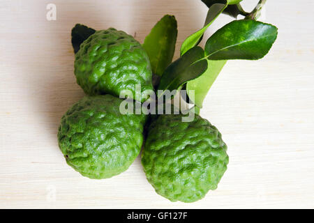 Bergamot (Also known as Kaffir lime, Citrus lime, Magnoliophyta Rutaceae) fruits with leaf Stock Photo