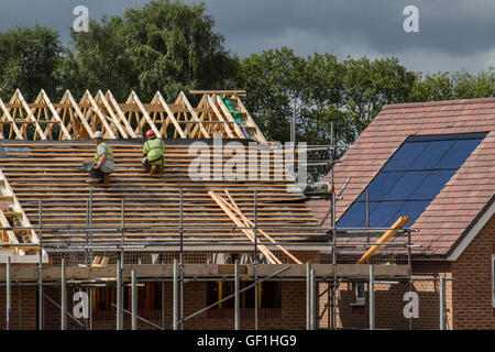 Roofers, workmen on piched roof;  New Build houses, with roofs, roof trusses, rafters or spars, Construction nearing completion in Buckshaw Village, near Chorley, Lancashire, UK Stock Photo