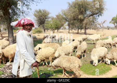 Shepherd and flock, Nawalgarh, India Stock Photo