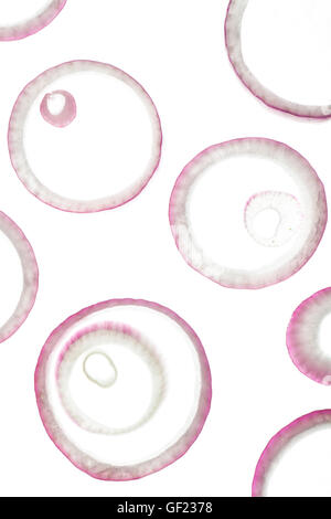 Abstract Red Onion Rings on White Background Stock Photo
