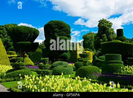 The topiary gardens at Levens Hall, South Lakeland, Cumbria, England UK