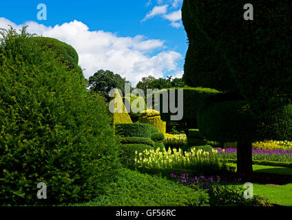 The topiary gardens at Levens Hall, South Lakeland, Cumbria, England UK