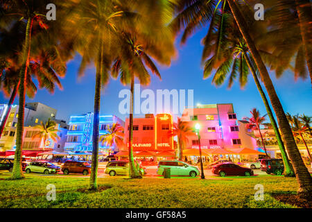 MIAMI, FLORIDA - JULY 5, 2016: Palm trees line Ocean Drive. The road is the main thoroughfare through South Beach. Stock Photo