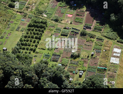 aerial view of gardener allotments, England, UK Stock Photo