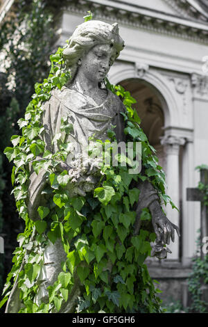 A praying statue woman covered with creeping ivy in an old cemetery. Stock Photo