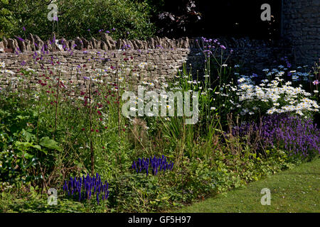 Summer Herbaceous boarder with dry stone wall, Cotswolds,England Stock Photo