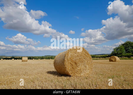 Hay bales on a summer's afternoon in Sudbrook, Lincolnshire, England. Stock Photo
