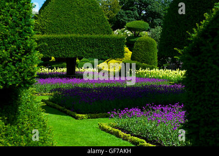 The topiary gardens at Levens Hall, South Lakeland, Cumbria, England UK