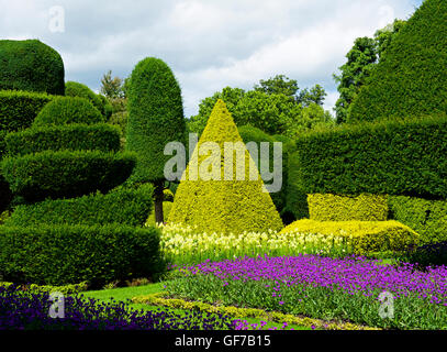 The topiary gardens at Levens Hall, South Lakeland, Cumbria, England UK