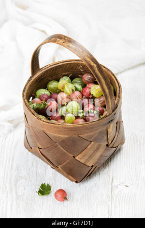 Birchbark basket full of ripe green and red gooseberries Stock Photo