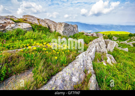 yellow dandelions in the grass among the huge rocks on hillside in high mountains Stock Photo