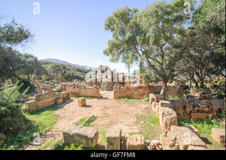 Ruins of Tipasa(Tipaza).The antic city was a colonia in Roman province Mauretania Caesariensis loc Stock Photo