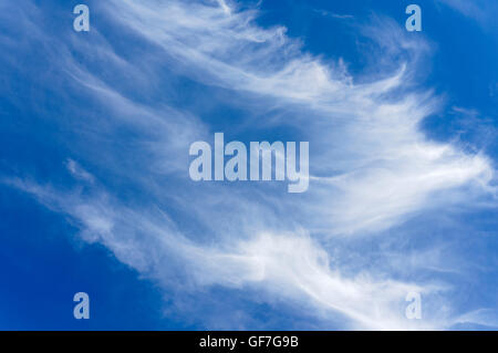 Wispy white cirrus clouds or mares tails against a deep blue sky background Stock Photo