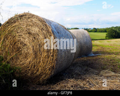 Bale of straw, harvested wheatfields, landscape around Orvieto - Umbria, Italy Stock Photo
