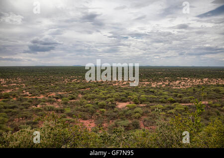 Open Plains at Okonjima Reserve in Namibia Stock Photo