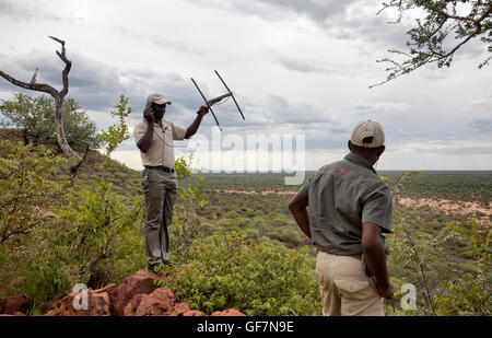 Two Guides Tracking Wildlife at Okonjima in Namibia Stock Photo