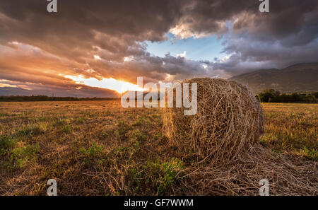 Beautiful sunset over a field of hay bales.
