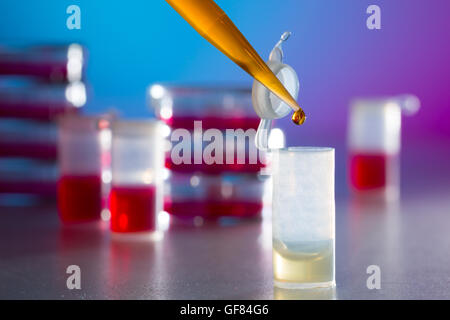 Allergy research in the laboratory, petri dish and pipette Stock Photo