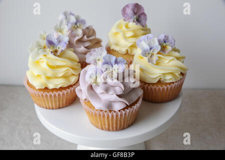 Purple and yellow cupcakes with sugared edible flowers Stock Photo