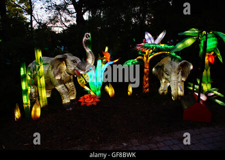 The seven voyages of Zheng He is the theme for the Chinese Lanterns at the Montreal Botanical Gardens. Quebec - Canada. Stock Photo