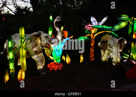 The seven voyages of Zheng He is the theme for the Chinese Lanterns at the Montreal Botanical Gardens. Quebec - Canada. Stock Photo