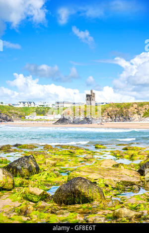 seaweed covered rocks with castle and cliffs on ballybunion beach in county kerry ireland Stock Photo