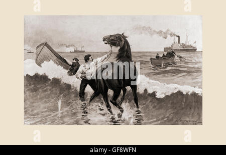The Gussie Expedition: Landing horses through the surf under fire from the shore.  The Gussie was an officially sponsored supply vessel whose captain's poor choice of landing spots resulted in two failed attempts to deliver cargo to Cuban rebels during The Spanish-American War in 1898.   After the drawing by R.F. Zogbaum. Stock Photo