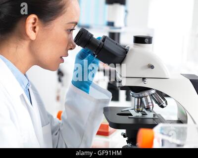 PROPERTY RELEASED. MODEL RELEASED. Scientist viewing tissue samples under a microscope. Stock Photo