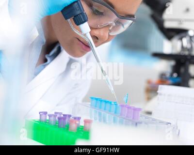 PROPERTY RELEASED. MODEL RELEASED. Preparing sample vials. Laboratory worker pipetting liquid into an eppendorf vial. This type of equipment is used in a wide range of laboratory work, from analysis of DNA (deoxyribonucleic acid) and other samples, to med Stock Photo