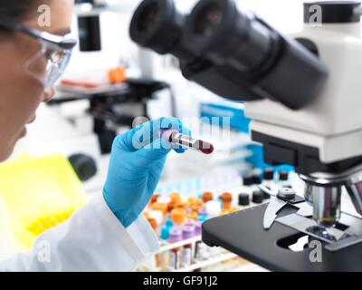 PROPERTY RELEASED. MODEL RELEASED. Scientist preparing to view a blood sample under a microscope in laboratory for medical testing. Stock Photo