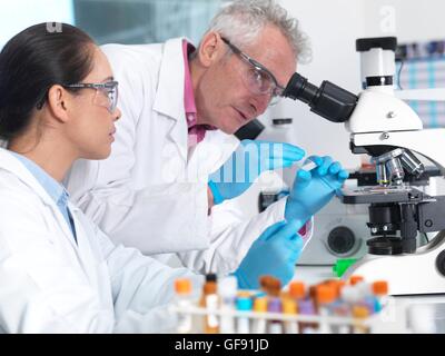 PROPERTY RELEASED. MODEL RELEASED. Scientists preparing a glass slide with a human sample, ready to view under a microscope in a laboratory. Stock Photo