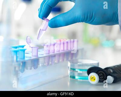 PROPERTY RELEASED. MODEL RELEASED. Scientist holding a vial containing a specimen ready for analysis in a laboratory. Stock Photo