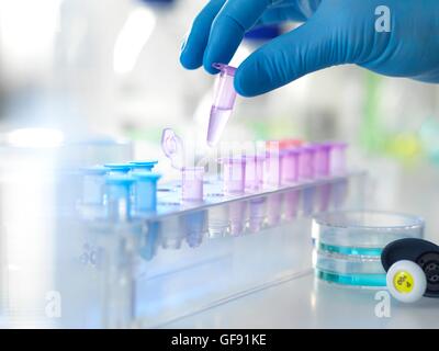 PROPERTY RELEASED. MODEL RELEASED. Scientist holding a vial containing a specimen ready for analysis in a laboratory. Stock Photo