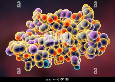 Insulin molecule. Computer model showing the structure of a molecule of the hormone insulin. Insulin plays an important role in blood sugar regulation. Insulin is released from the pancreas when blood sugar levels are high, for example after a meal, promp Stock Photo