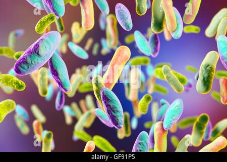Rod Bacteria Diff Quick Illustration of different rod-shaped bacteria. Rod-shaped bacteria ...