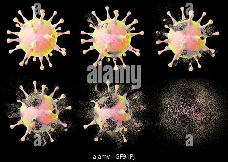 Computer illustration showing different stages of destruction of a virus. The image can be used to illustrate effect of drugs, nanoparticles and other factors on a virus. Stock Photo