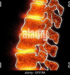 Human spine, illustration. Stock Photo