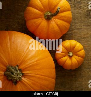 Jack o lantern (Cucurbita pepo) and Jack be little miniature (Cucurbita pepo) pumpkins, still life. Stock Photo