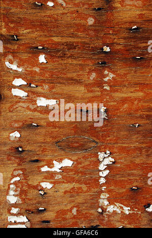 Detail of peeling paint on old building Stock Photo