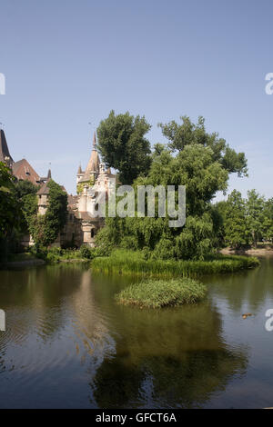 Willow tree, lake and Vajdahunyad castle in City park Stock Photo