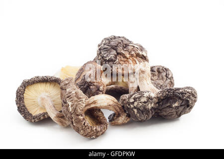 Lentinula edodes on white isolated background Stock Photo