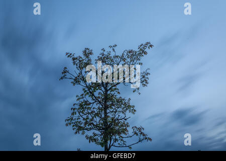 Landscape in Wolfheze, storm clouds Stock Photo