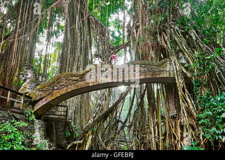 Dragon Bridge in the Sacred Monkey Sanctuary, Bali, Indonesia Stock Photo