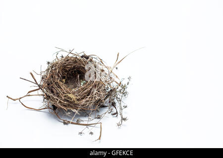 Real bird nest isolated on white background Stock Photo - Alamy