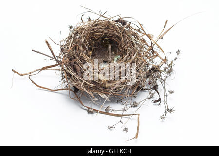 Real bird nest isolated on white background Stock Photo - Alamy