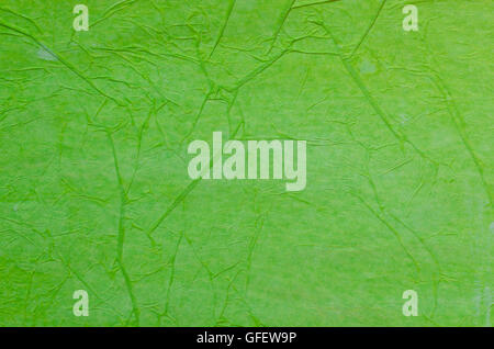 creased green tissue paper background texture Stock Photo