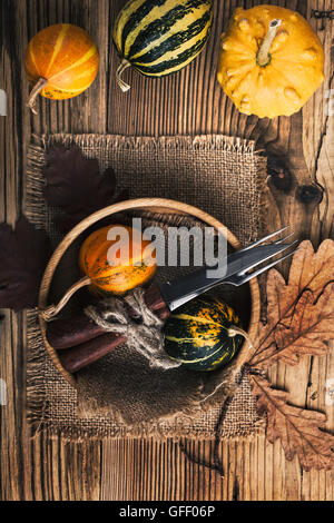 Miniature pumpkins on a rustic wooden table, top view, thanksgiving decorations with copy space Stock Photo