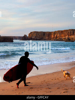 Surfer with a funny dog walking at sunset on the beach Stock Photo